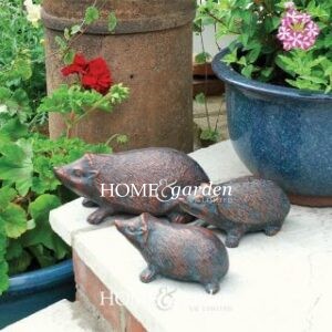 Home & Garden Collection